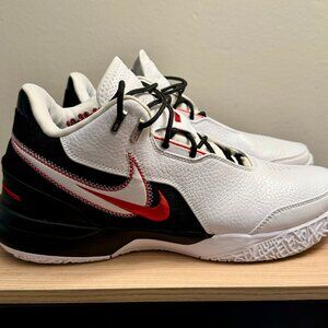 Nike LeBron NXXT Gen AMPD Basketball Shoes - Size 11